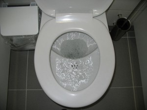UD flush toilet during flushing